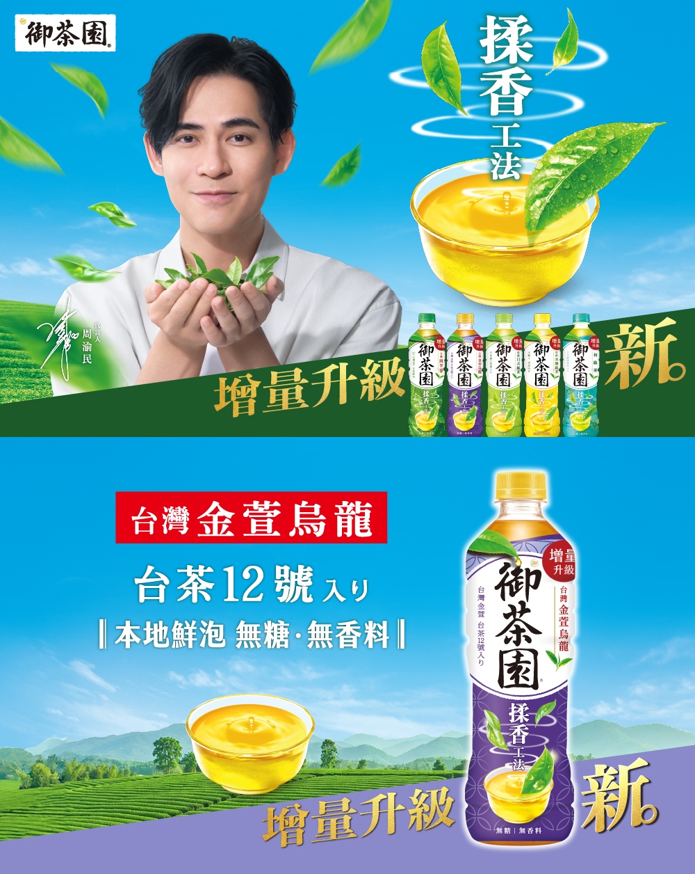 御茶園】台灣金萱烏龍茶-無糖590mlx24瓶- 全聯全電商
